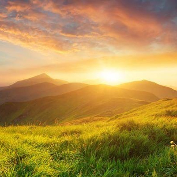 Meet your Posher, Addison - Picture 1 of 1